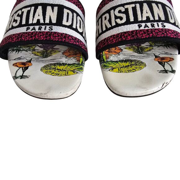 Christian Dior Dway Slide Flat Sandal Size 39 US 9 Pink White Leather Tiger - Picture 3 of 15